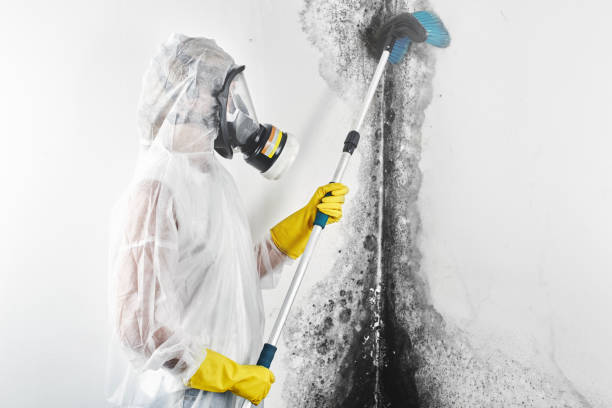 Coopertown, TN Mold Removal Company
