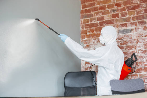 Best Attic Mold Removal  in Coopertown, TN
