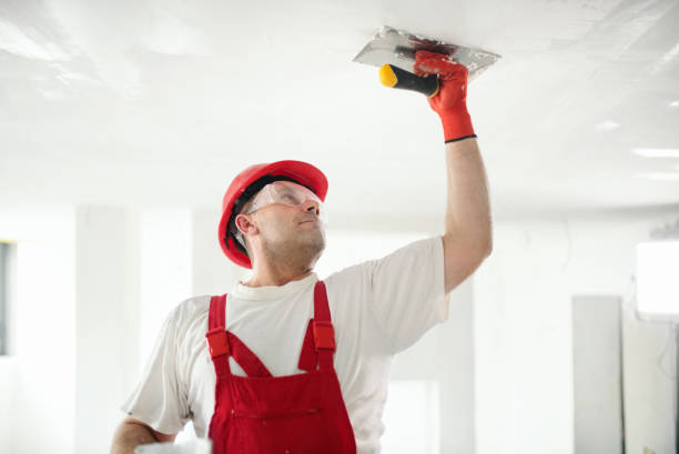 Mold Odor Removal Services in Coopertown, TN