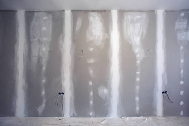 Best Mold Damage Restoration  in Coopertown, TN
